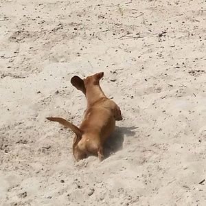 Meet your Posher, Karrie